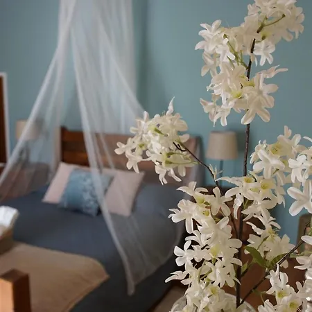 Monte Pedras Holiday home Abrantes