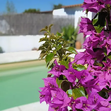 Monte Pedras Abrantes