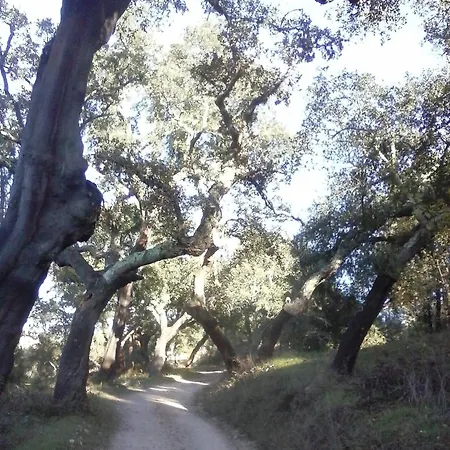 Monte Pedras * Abrantes