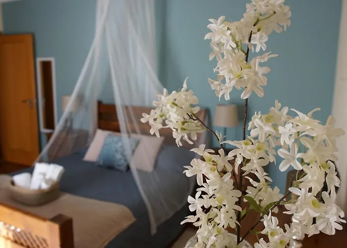 Monte Pedras Dom wakacyjny Abrantes