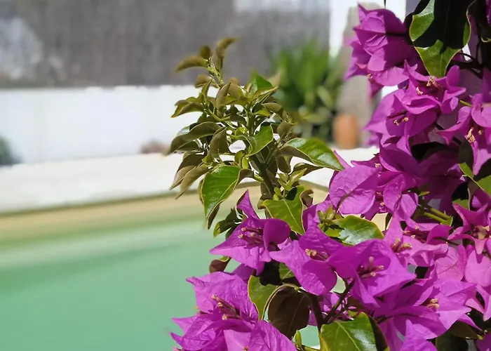 Monte Pedras Abrantes