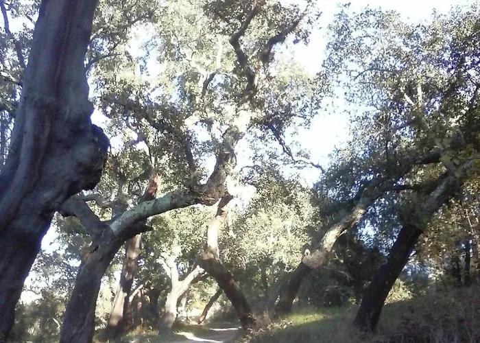 Monte Pedras * Abrantes